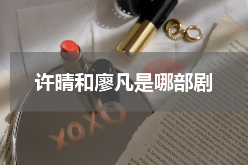 许晴和廖凡是哪部剧