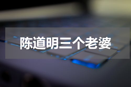 陈道明三个老婆