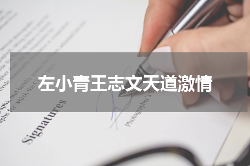 左小青王志文天道激情