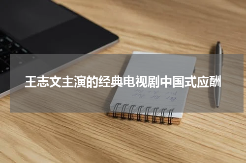 王志文主演的经典电视剧中国式应酬
