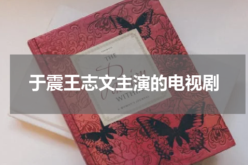 于震王志文主演的电视剧