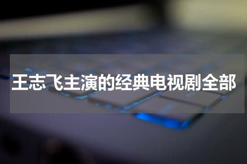 王志飞主演的经典电视剧全部