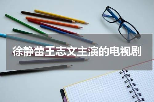徐静蕾王志文主演的电视剧