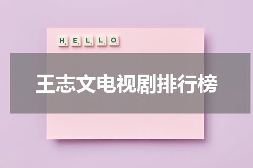 王志文电视剧排行榜