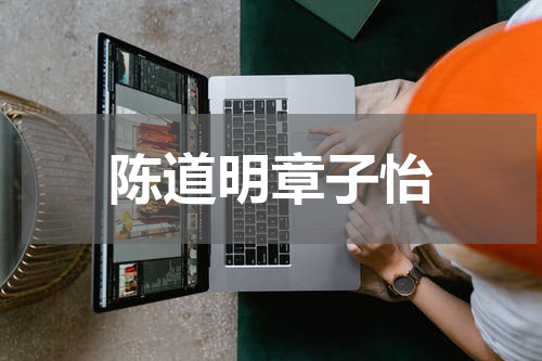 陈道明章子怡