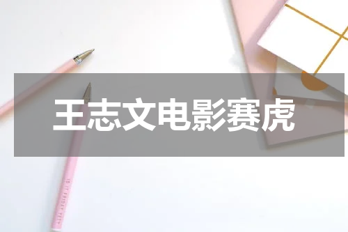 王志文电影赛虎