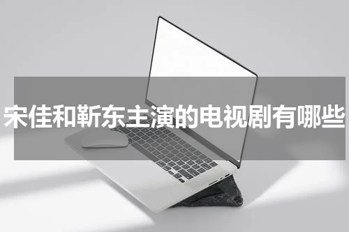 宋佳和靳东主演的电视剧有哪些