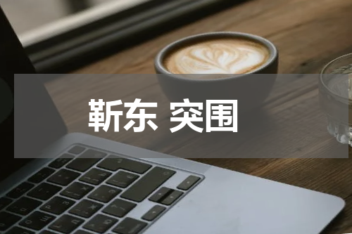 靳东 突围