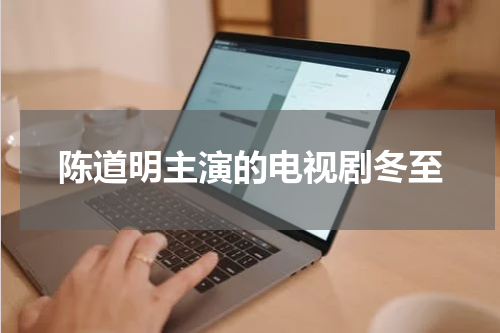 陈道明主演的电视剧冬至