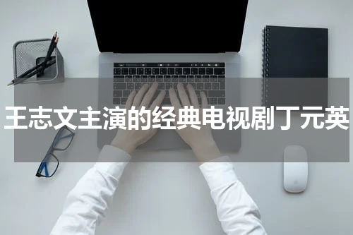 王志文主演的经典电视剧丁元英