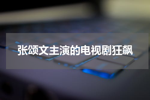 张颂文主演的电视剧狂飙