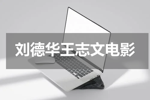 刘德华王志文电影