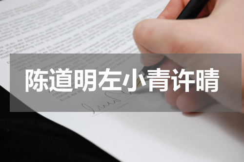 陈道明左小青许晴