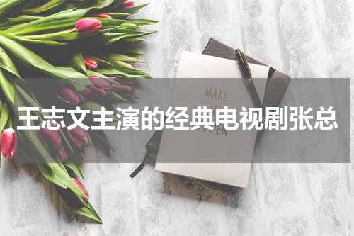 王志文主演的经典电视剧张总