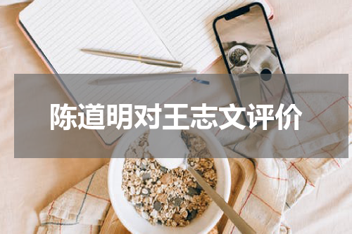 陈道明对王志文评价