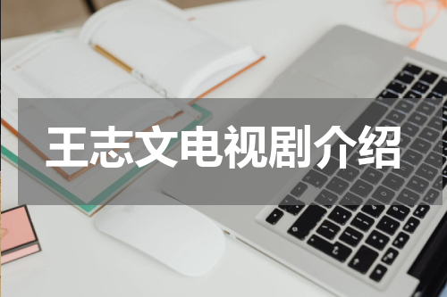 王志文电视剧介绍