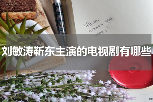 刘敏涛靳东主演的电视剧有哪些