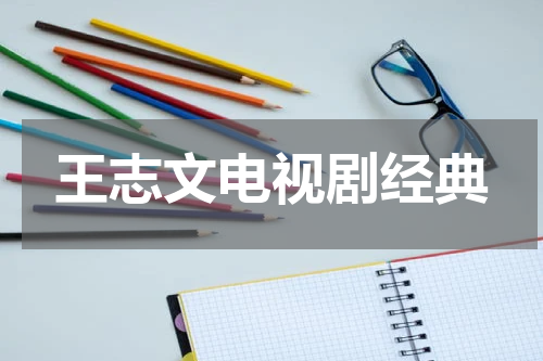 王志文电视剧经典