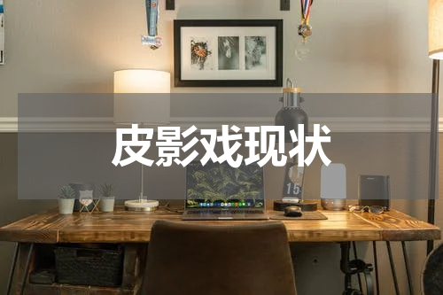 皮影戏现状