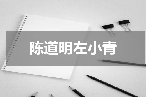 陈道明左小青