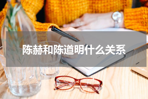 陈赫和陈道明什么关系
