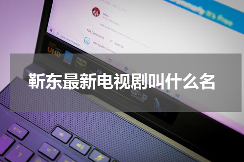 靳东最新电视剧叫什么名
