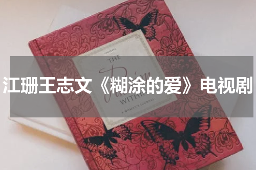 江珊王志文《糊涂的爱》电视剧