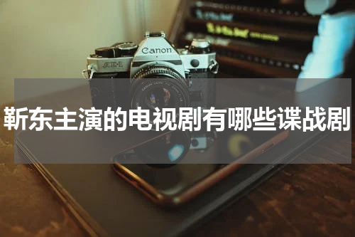 靳东主演的电视剧有哪些谍战剧