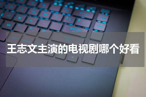 王志文主演的电视剧哪个好看