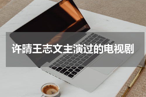 许晴王志文主演过的电视剧