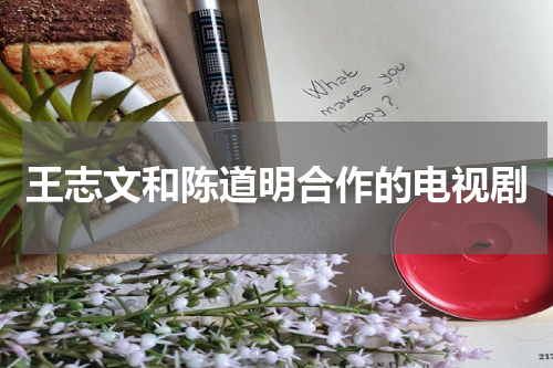 王志文和陈道明合作的电视剧