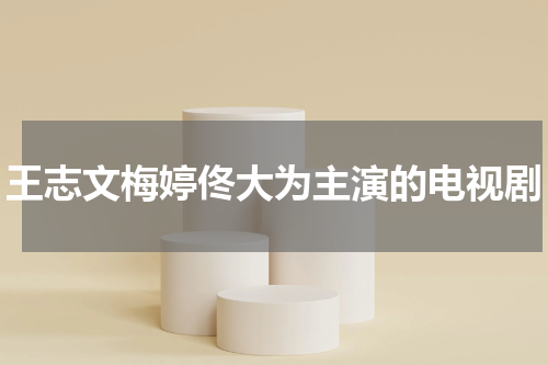 王志文梅婷佟大为主演的电视剧