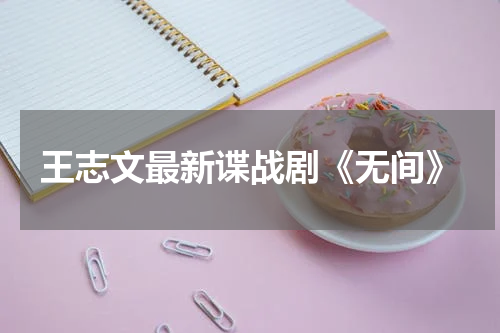 王志文最新谍战剧《无间》