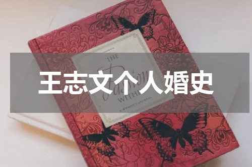 王志文个人婚史
