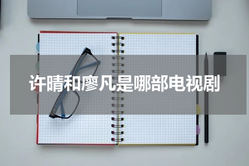 许晴和廖凡是哪部电视剧