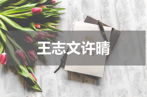 王志文许晴