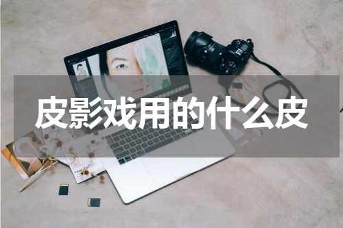 皮影戏用的什么皮