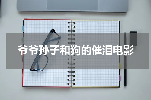 爷爷孙子和狗的催泪电影