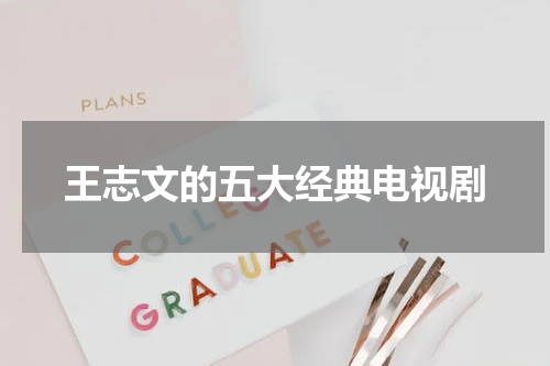 王志文的五大经典电视剧