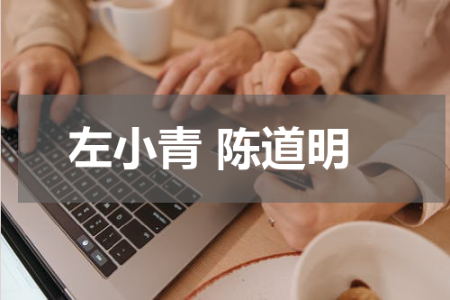 左小青 陈道明