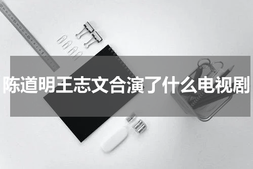 陈道明王志文合演了什么电视剧
