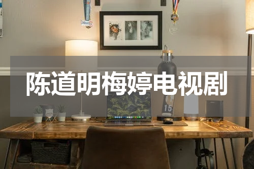 陈道明梅婷电视剧