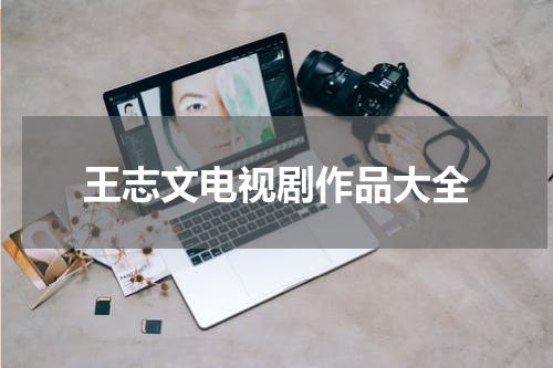 王志文电视剧作品大全