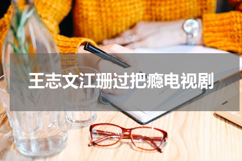 王志文江珊过把瘾电视剧