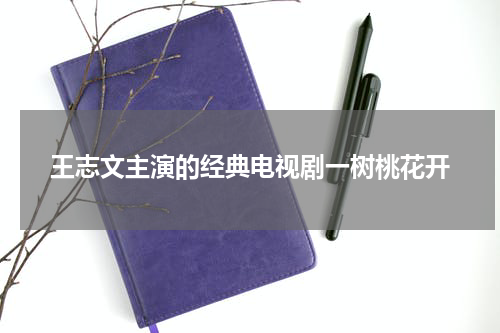 王志文主演的经典电视剧一树桃花开