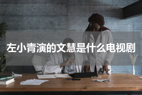 左小青演的文慧是什么电视剧