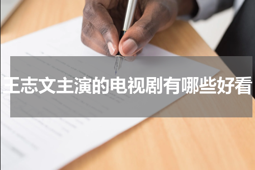 王志文主演的电视剧有哪些好看