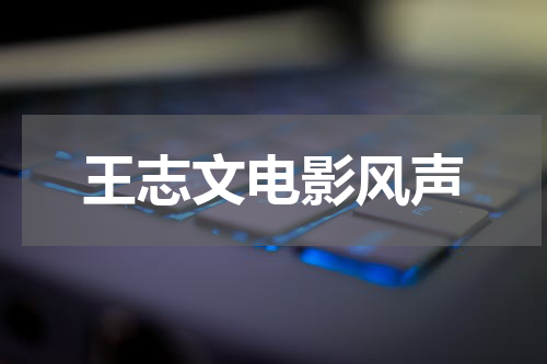 王志文电影风声