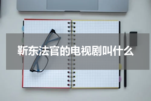 靳东法官的电视剧叫什么