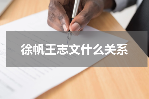 徐帆王志文什么关系